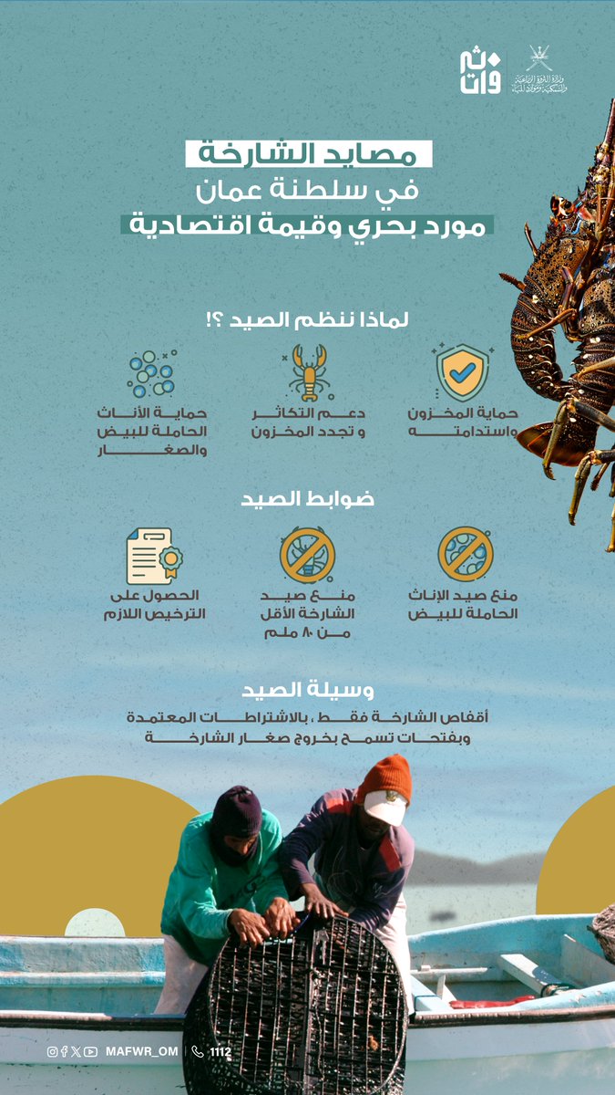 MAFWR_OM's tweet photo. 🦞 بلغ إنتاج مصايد الشارخة في سلطنة #عُمان 645 طنًا خلال عام 2025م، بقيمة بلغت 4.255 مليون ريال عُماني.

مورد بحري ذو قيمة اقتصادية، واستدامته مسؤولية تبدأ بالالتزام بموسم الحظر وضوابط الصيد.
#ثروتنا_البحرية_أمانة. https://t.co/inldlo3M6v