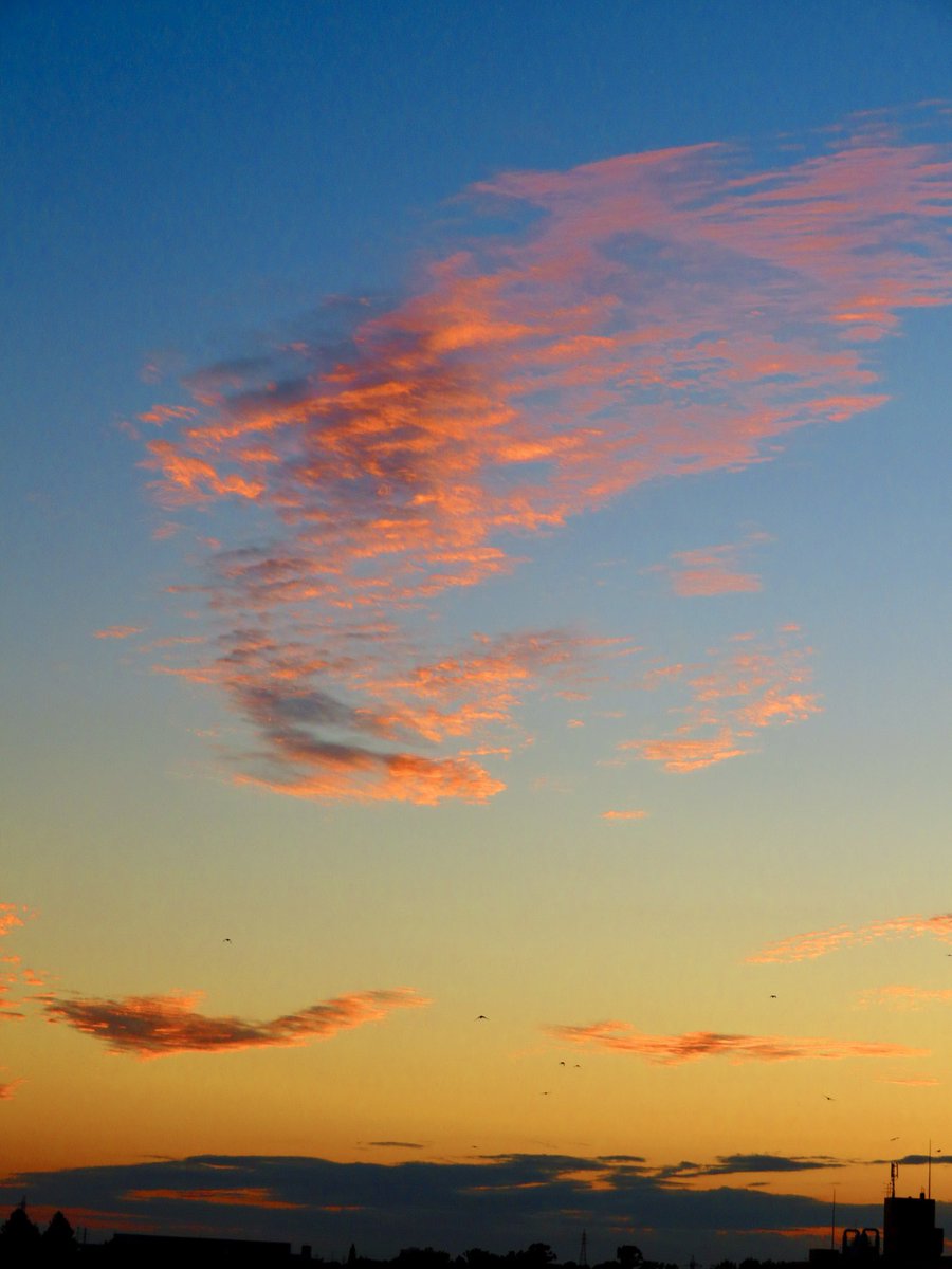 arakencloud's tweet photo. 久しぶりに夕焼け空を見た気がします。 https://t.co/QpNYqfhK0c
