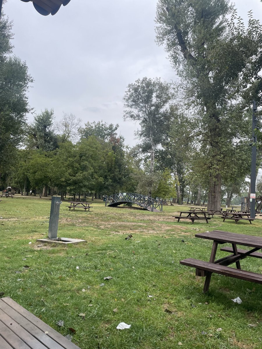 arabbiata3's tweet photo. 🦋🌲🌿bu aralar doğa bana çok huzurlu hissettiriyor https://t.co/PnA6RQ0L3A
