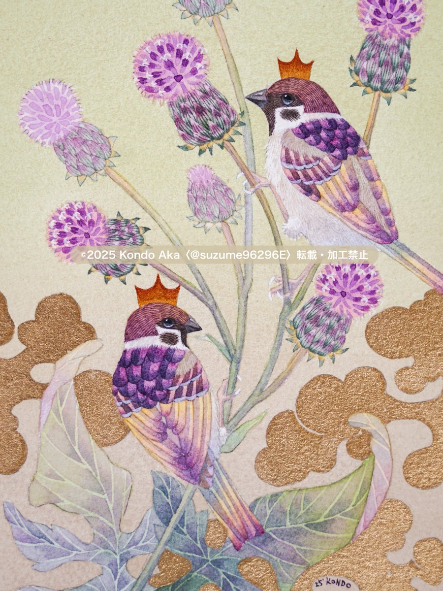 suzume96296E's tweet photo. この前描いた白文鳥の絵にも登場しているキツネアザミ。推し野草のひとつ。
（あとチュンの色をアザミ色に染めた作品） https://t.co/wte5ioccaN