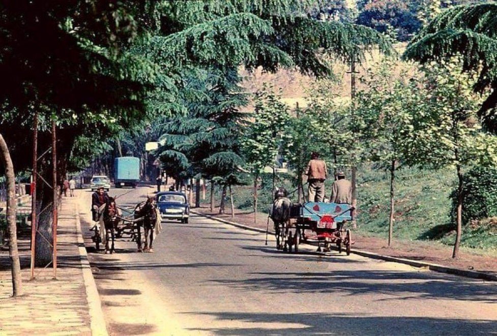 kayamerthasan_'s tweet photo. Paşabahçe - Beykoz yolu, 1960'lar. https://t.co/7IEV1F2GwK