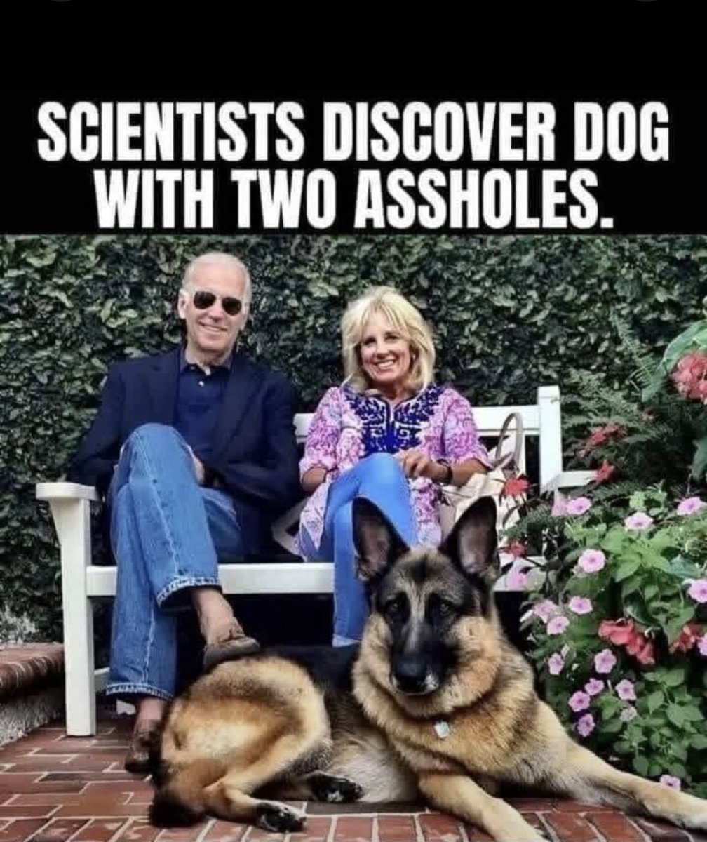 doylmaster97907's tweet photo. @newtgingrich https://t.co/3lq4dfKaYe