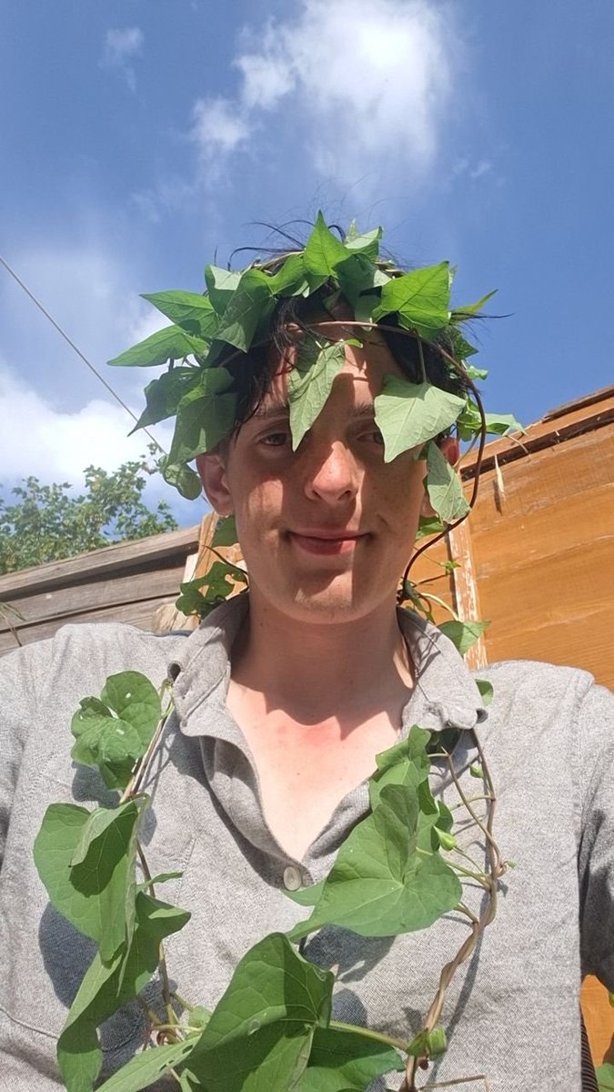 SnocTheSock's tweet photo. This is me covered in leaves, do I look cute guys? https://t.co/PpslrQ1gSE