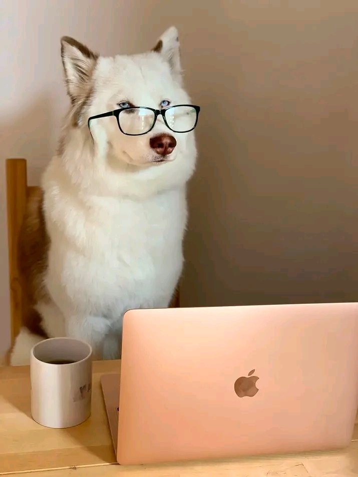_Viola_Snow's tweet photo. @CryptoJulzss Gm💕 https://t.co/tiGGzM93g4