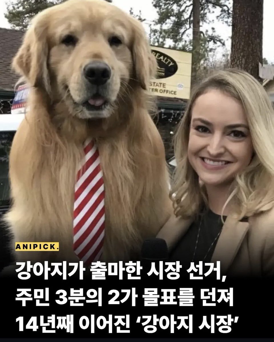 whutisay's tweet photo. 윤진이 https://t.co/LPgE3cAD5d
