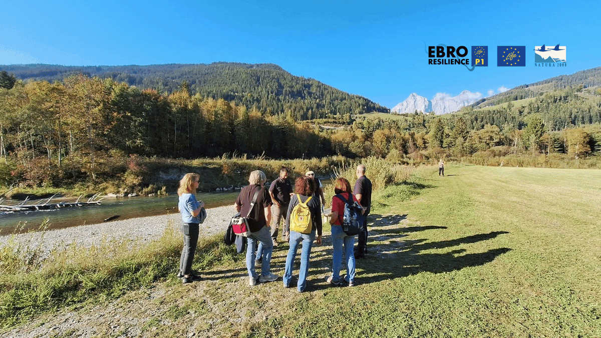 EBROresilience's tweet photo. 🌍 Aprender de otros territorios ayuda a encontrar nuestras soluciones ante #inundaciones .  

El equipo #LIFEEbroResilienceP1 está en Austria 🇦🇹en un encuentro con el LIFE IP IRIS: 1er día en río Enns, después, #Danubio y Pielach.
🇪🇺 Compartir conocimiento es @LIFEProgramme . https://t.co/PypZyp41yu