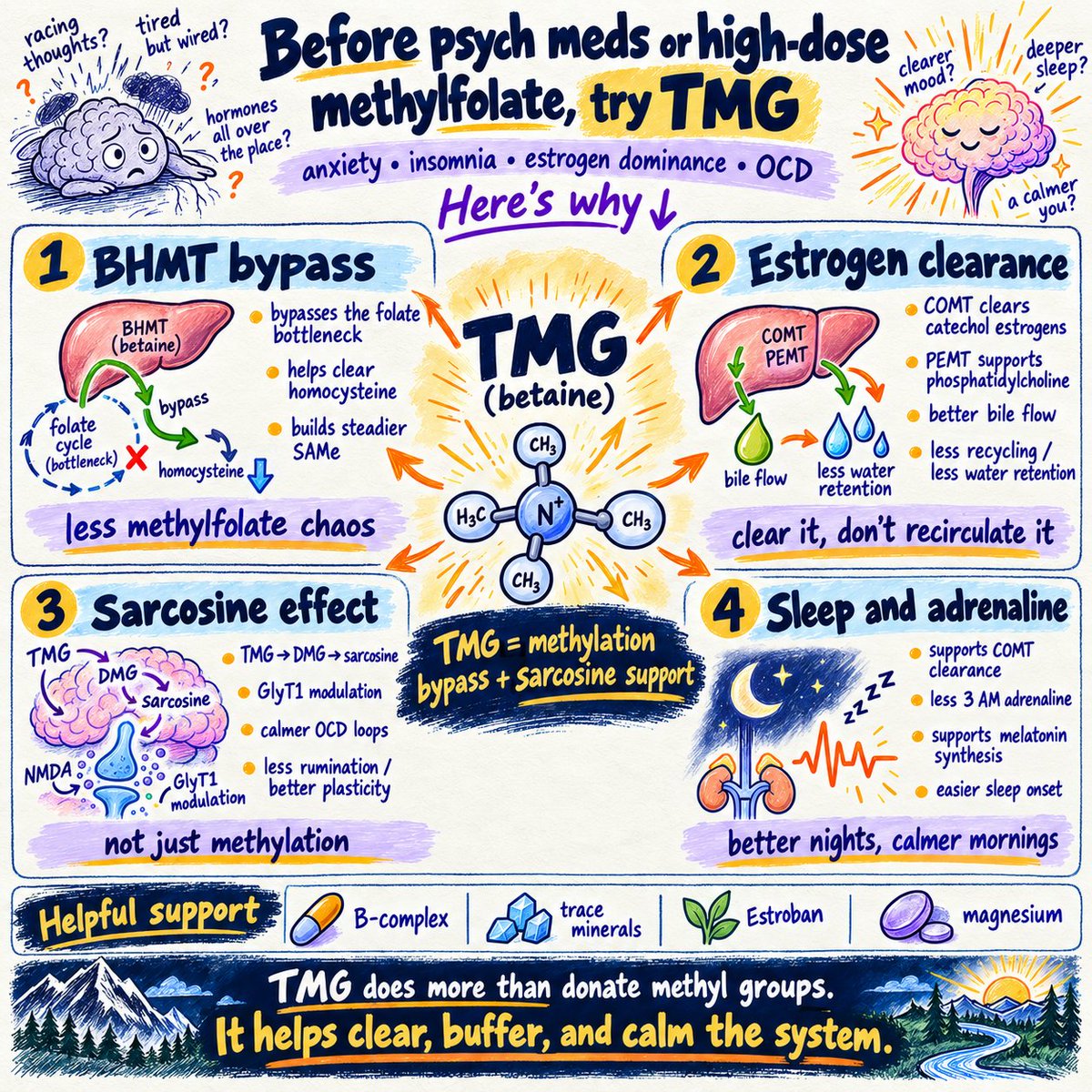 biohackerziv's tweet photo. Before taking psychiatric meds or high-dose methylfolate for chronic anxiety, insomnia, estrogen dominance and OCD.

Try Trimethylglycine (TMG / Betaine Anhydrous).

Most people treat mental looping, midnight awakenings, and estrogenic water retention as isolated pathologies.

They are downstream symptoms of a choked methylation cycle, poor hepatic estrogen clearance, depleted sarcosine and glycine reserves.

TMG delivers three labile methyl groups directly to the liver while degrading into neuroactive sarcosine to stabilize cortical circuits.

The Hepatic Bypass: BHMT vs. The Folate Cycle

Folate-Independent Homocysteine Clearance:

The standard folate loop (MTHFR to Methionine Synthase) easily stalls and triggers adrenergic panic when flooded with synthetic methylfolate. TMG completely bypasses this by feeding Betaine-Homocysteine S-Methyltransferase (BHMT) in the liver.

Sustained SAMe Synthesis:

BHMT transfers a methyl group from TMG directly onto homocysteine, instantly regenerating L-methionine. This builds a continuous, somatic pool of S-adenosylmethionine (SAMe) without dumping unbuffered methyl groups into the central nervous system.

Estrogen Dominance: Phase II Methylation & Bile Flow

COMT Neutralization:

Phase I enzymes oxidize estradiol into reactive catechol estrogens. Catechol-O-Methyltransferase (COMT) requires continuous SAMe to convert them into inert methoxyestrogens for excretion. TMG fuels COMT, preventing estrogen recycling, breast tenderness, and water retention.

PEMT & Bile Excretion:

TMG donates methyl groups to spare choline, fueling hepatic PEMT to synthesize phosphatidylcholine. This optimizes bile flow, ensuring methylated estrogens dumped into the gut are permanently cleared in the stool.

Anxiety & OCD: The Sarcosine NMDA Modulator

The Sarcosine Cascade:

After donating its first methyl group via BHMT, TMG becomes Dimethylglycine (DMG), which is rapidly cleaved by DMG dehydrogenase into Monomethylglycine (Sarcosine).

GlyT1 Inhibition & CSTC Tuning:

Sarcosine acts as a natural Glycine Transporter 1 (GlyT1) inhibitor and a selective co-agonist at the NMDA receptor glycine-B site.

By fine-tuning prefrontal NMDA receptor gating, sarcosine restores cortical plasticity, breaking rigid obsessive-compulsive loops (CSTC) and clearing intrusive rumination without sedation.

After sarcosine, it converts into glycine and provides all the benefits of glycine.

Insomnia & Adrenaline Clearance

Nocturnal Adrenaline Breakdown:

Waking at 3 AM with a racing pulse is an unbuffered catecholamine surge. If COMT lacks SAMe, norepinephrine cannot be broken down into normetanephrine. TMG saturates COMT, clearing nocturnal adrenaline so you sleep undisturbed.

ASMT Melatonin Synthesis:

Acetylserotonin O-Methyltransferase (ASMT) requires SAMe to convert N-acetylserotonin into active melatonin, driving effortless sleep onset as ambient light falls.

Cofactors:

B-complex, trace mineral complex, Estroban (A, D, K, E), and magnesium so everything works optimally behind the scenes.