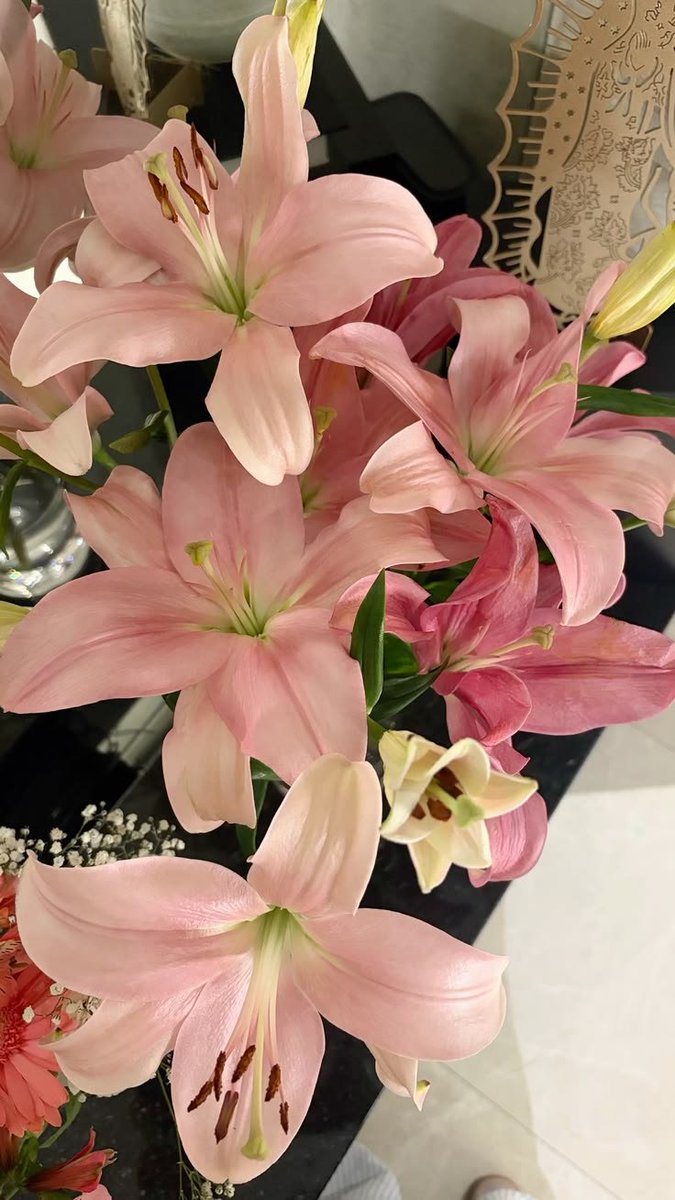 Flowersidmb's tweet photo. https://t.co/pFqhA5FQiz