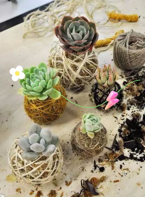 AndreaFernjkwh's tweet photo. Just finished this cute woven pot from scrap yarn  Upcycling + handmade = pure joy! What should I make next https://t.co/PMNtr9ZJI3