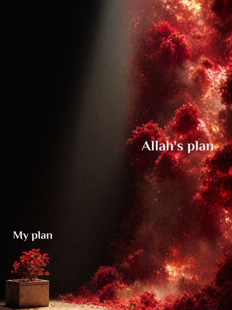 Haletihissiyat's tweet photo. My Plan.                                              Allah’s Plan. https://t.co/Nf0sPCKP9c