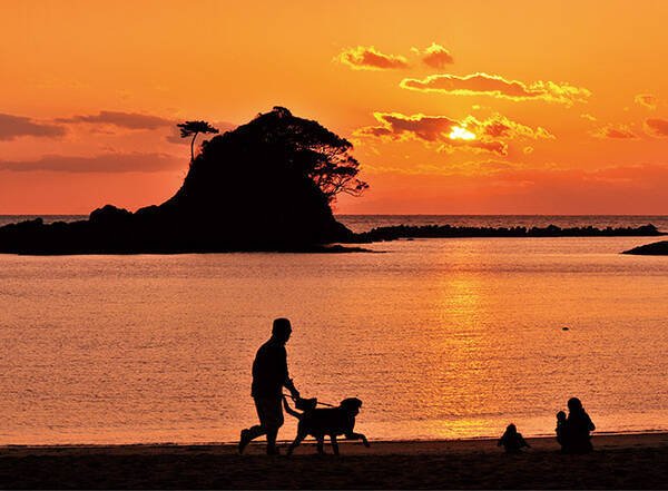 tommy777_tommy's tweet photo. 犬の散歩も 楽しげで

雲と波は 穏やかで
空と海とは 重なって

神無月の海に 陽が沈む https://t.co/ypdqWreii3