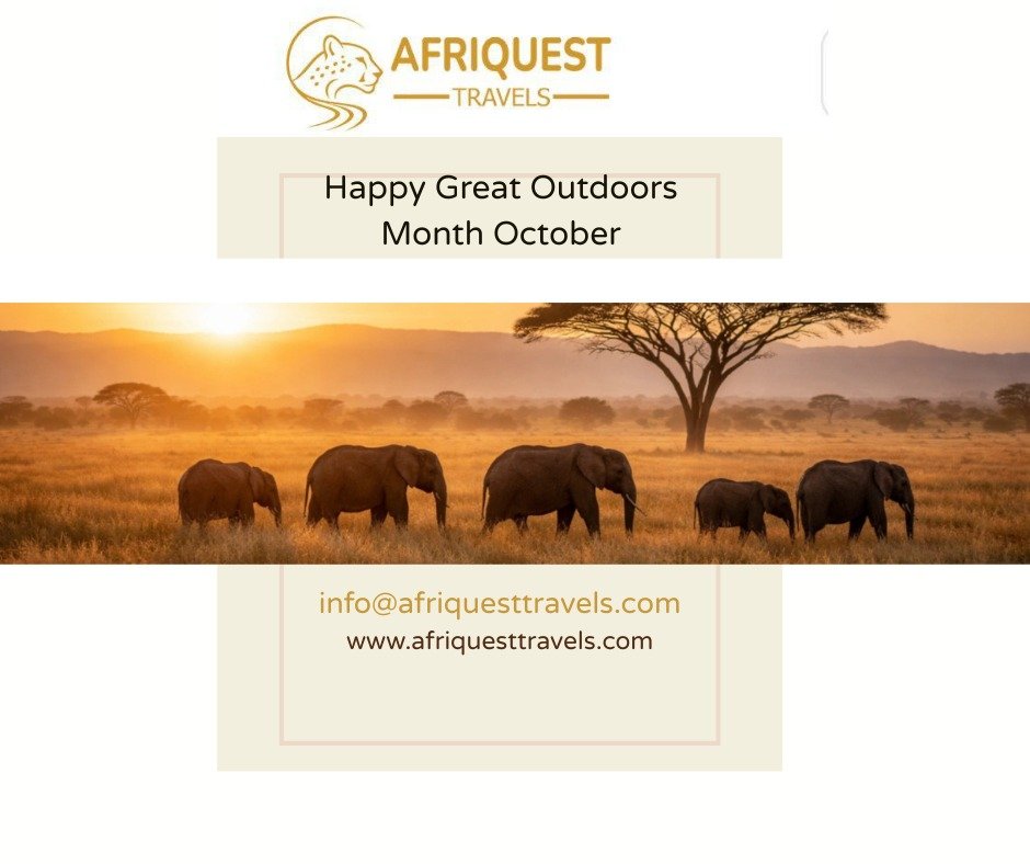 AfriquestUG's tweet photo. From all of us at Afriquest Travels, we wish you a happy, blessed and adventurous October! 

Your Journey.Our Passion.

Ready for your next adventure? Book your safari with us today!

 #HelloOctober #TravelUganda #UgandaSafaris #YourJourneyOurPassion https://t.co/C6tXcLsj8F