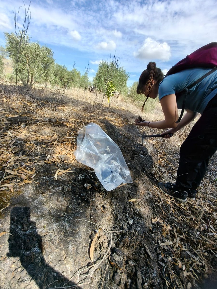 axiesventures's tweet photo. Fieldwork activities continue ⛏️ driving progress at our permits. 

Our team in #Cyprus are conducting surface sampling to refine drilling targets at Sia North, part of the Kokkinoantonis Complex.

Focus is also on extending previous promising #copper and #gold results.

#explore https://t.co/hFpzHmWxBP