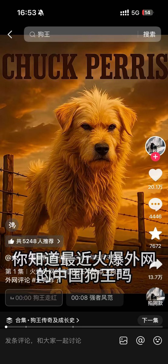 Shanyizk9's tweet photo. 中国真正的狗王
King Charles https://t.co/iydNVuEjbA