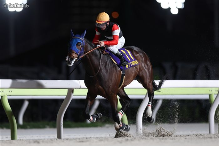 keibalab's tweet photo. 【指し示す先にある未来】
ジャパンダートクラシックで牡馬ダート三冠制覇を目指すフィンガーは、新たに坂井瑠星騎手とコンビを組むことが発表されました。

これまで全てのレースで手綱を取った戸崎圭太騎手はイッテラッシャイに騎乗。
#フィンガー #坂井瑠星 
https://t.co/iA3jOSFHft https://t.co/EVzEYRcxBs