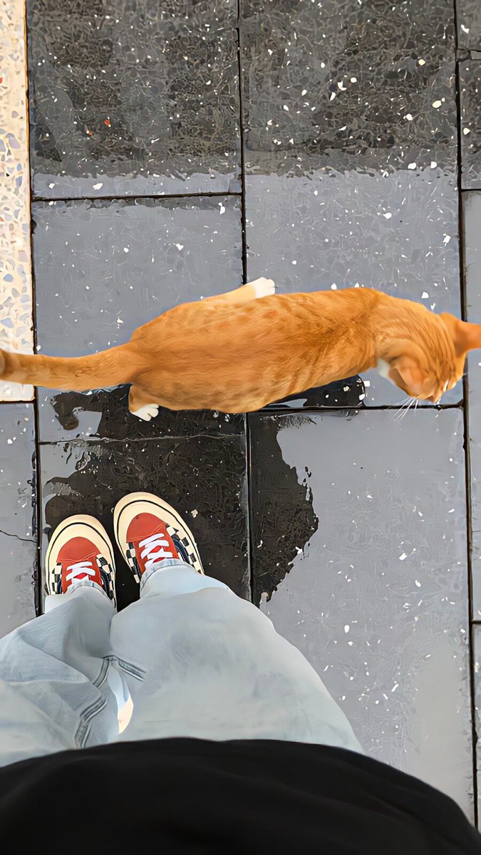 BrightPebb7v9g's tweet photo. Growth isn’t about avoiding storms—it’s learning to dance in the rain, one small step at a time. https://t.co/axfpXd8a70