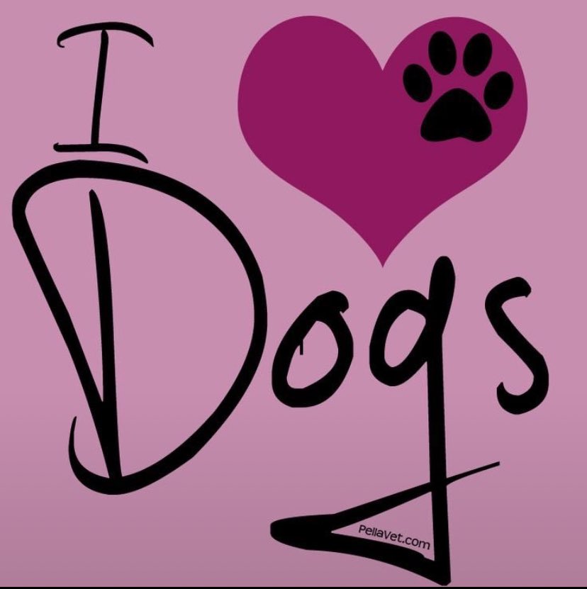 JenniferPasicx's tweet photo. My Dogs got stuck inside me on telegram 
👉   https://t.co/gg9nsTXcwX
Dm for menu😊
#Beastiality #Dogknott #dogknotting #k9 #Taboocontent #Dogknottqueen #zoopride #zoosarevalid #zoophillia #zoophilist https://t.co/wQOd8j2Bvv