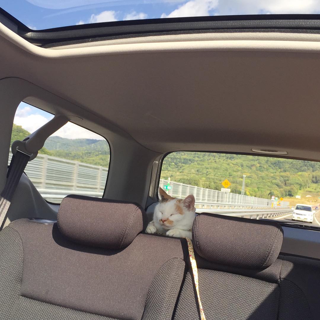 LinhGoundeep's tweet photo. 抵抗せず、ただ流れに身を任せる時間も悪くない。制御を手放すと、意外なほど楽になれる。 https://t.co/vQbs6RPPXm