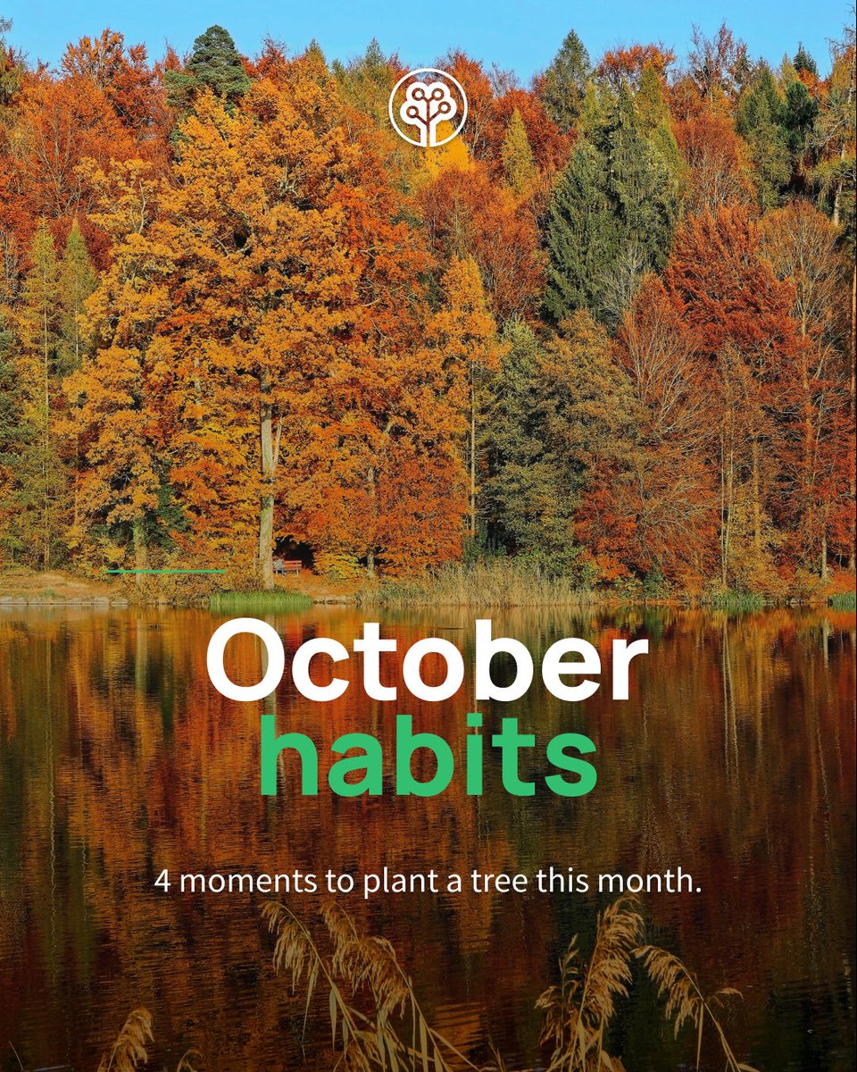 treenation's tweet photo. October is full of moments worth planting for 🌱
🌍 Oct 5, World Habitat Day #HabitatDay
🧠 Oct 10, World Mental Health Day #MentalHealth
🌾 Oct 16, World Food Day #FoodSecurity
🎃 Oct 31, Halloween #Halloween
Which Habit will you adopt this month? Plant a tree and make it count 👇
https://t.co/yN2YaN2fzm