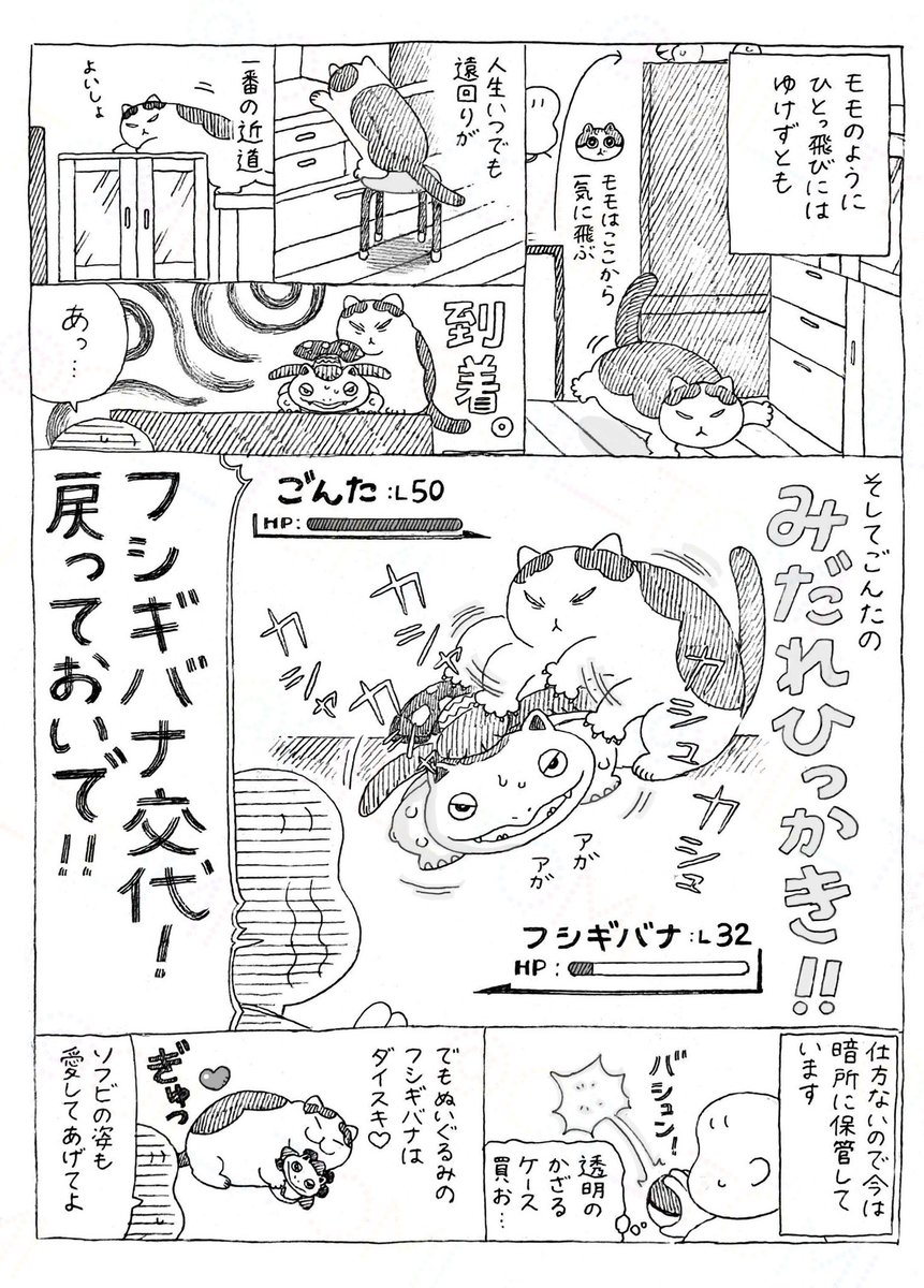 takara_o_takara's tweet photo. ごんたとフシギバナ https://t.co/pE9mbtUBTD