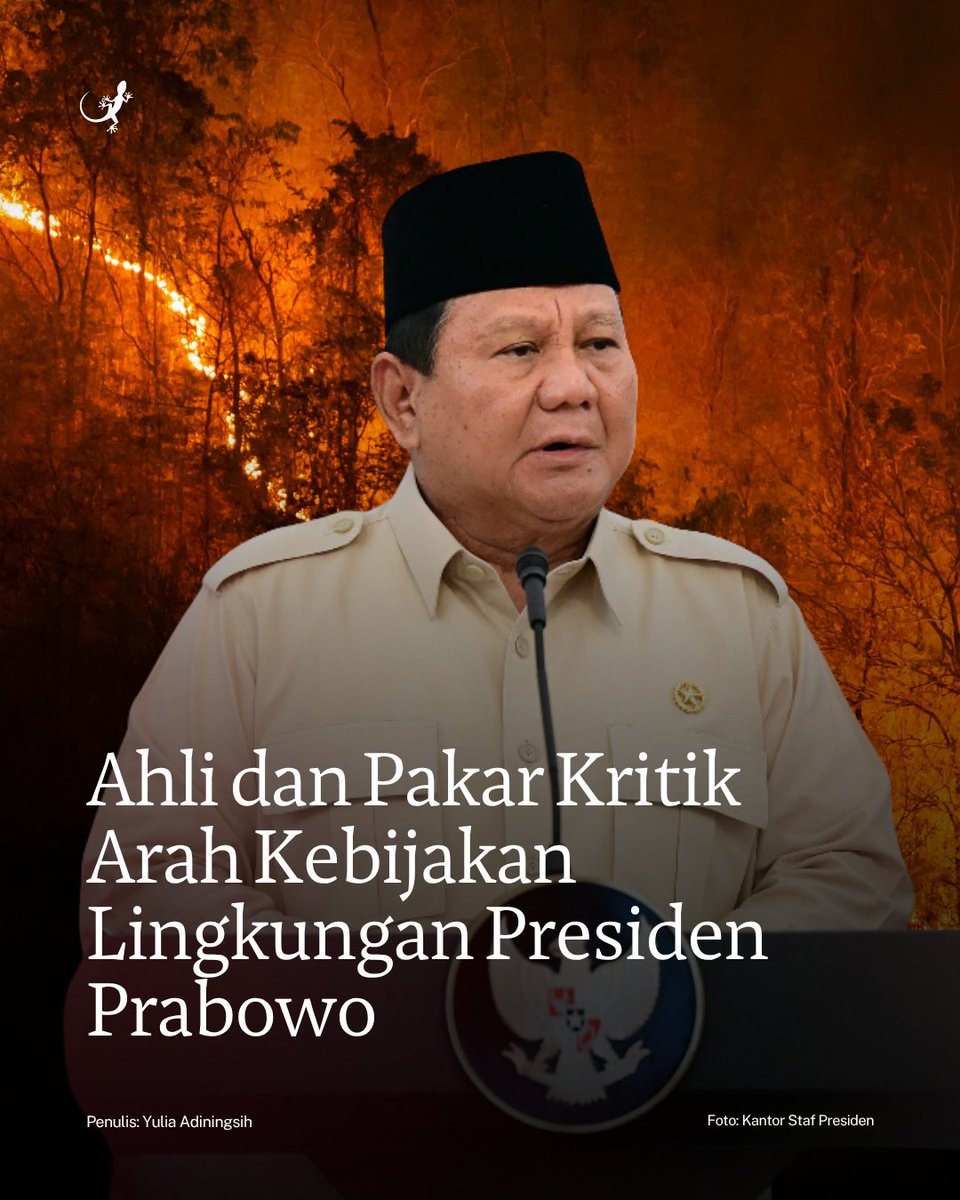 MongabayID tweet picture