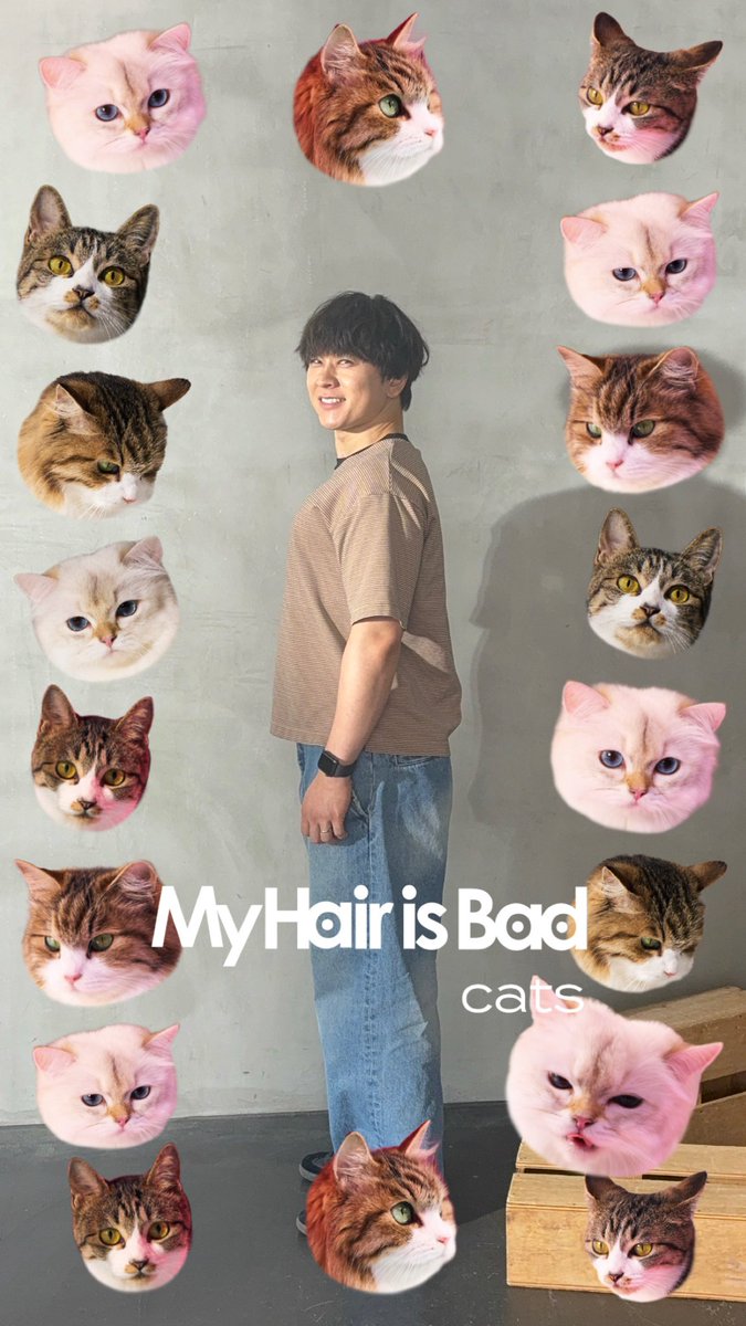 MyHairisBad's tweet photo. 【お待たせ❗️catsフレーム公開🐱🎵】

7th Full Album「cats」のジャケットに登場した猫さんが散りばめられた
🐱📷catsフレーム📷🐱がついに公開！

たくさん遊んでください💪🐱🐱🐱

ダウンロードや使い方など
詳しくはこちらから！
https://t.co/3D45Sag16I https://t.co/uobVriRp1q