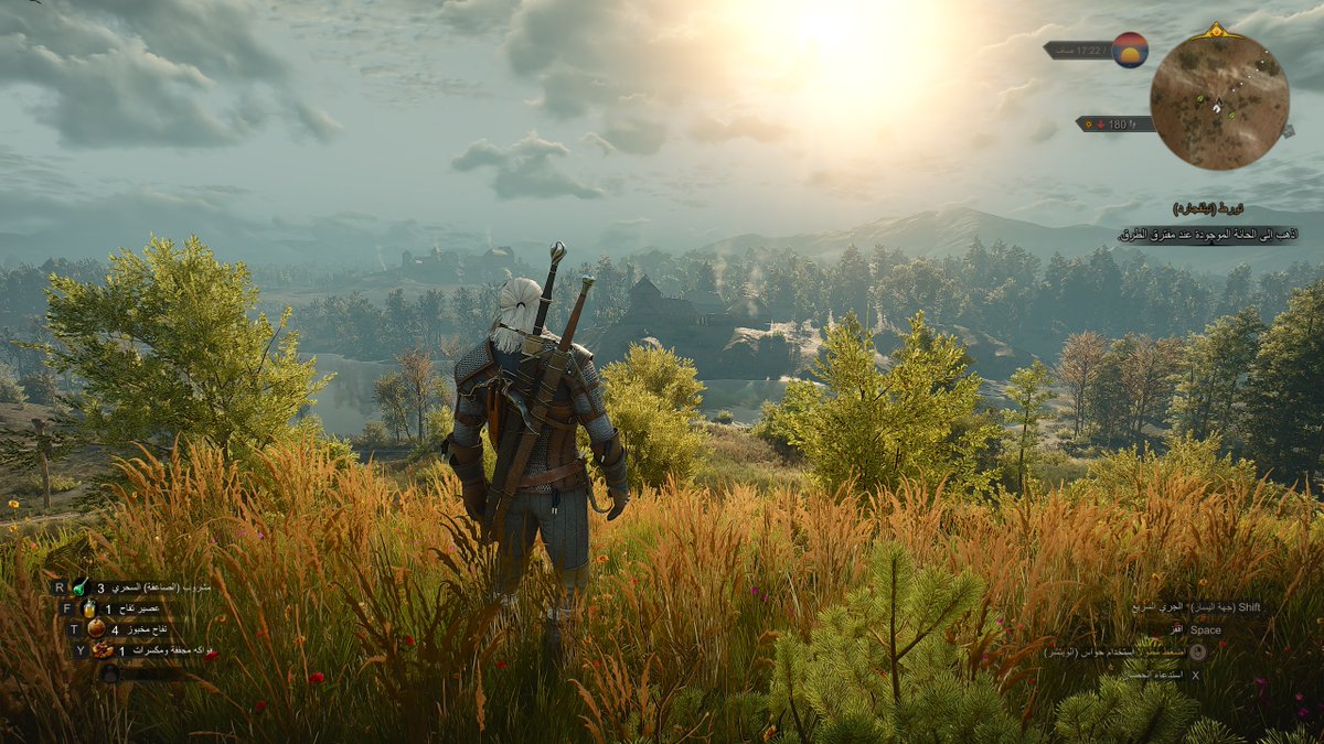 brrospace's tweet photo. #Thewitcher3 https://t.co/thNv640nsg