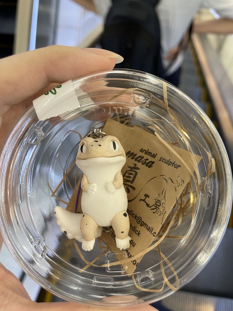 ttmtppmt's tweet photo. 仕事終わりに寄ったら現品がこの子でラストだった🫢
店員さんにラストだから他の人に取られる前に早く取って！と言われ、即買いしちゃった😆

今日の分が完売なのか、それとも完全に完売なのか分からないけど、受注生産は出来るっぽい🤔

#真工房のPOPUPイベント
#ヒョウモントカゲモドキ https://t.co/v251mGmExM