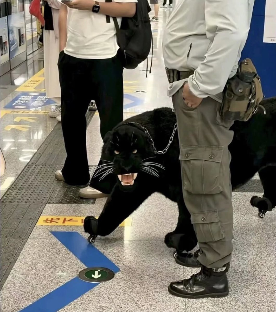 nkwks0's tweet photo. 地下鉄に黒豹みたいなキャリーケース持ってきた人、普通に怖すぎるって https://t.co/LItD1RlQX4