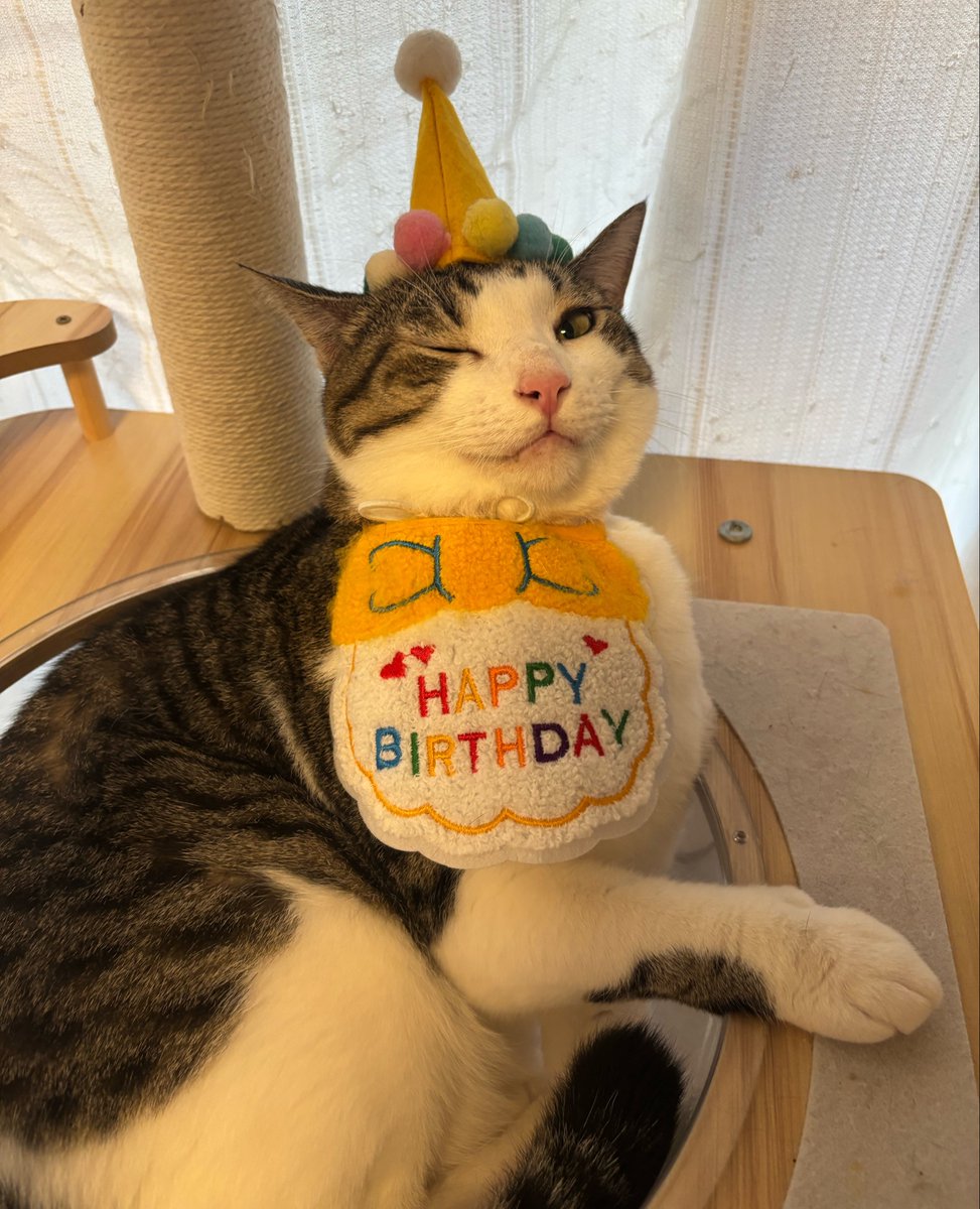 fukuroupiyopiyo's tweet photo. ←スタイないとき🫩💢
→スタイあるとき😉🎉 https://t.co/BVPxc4DMv8