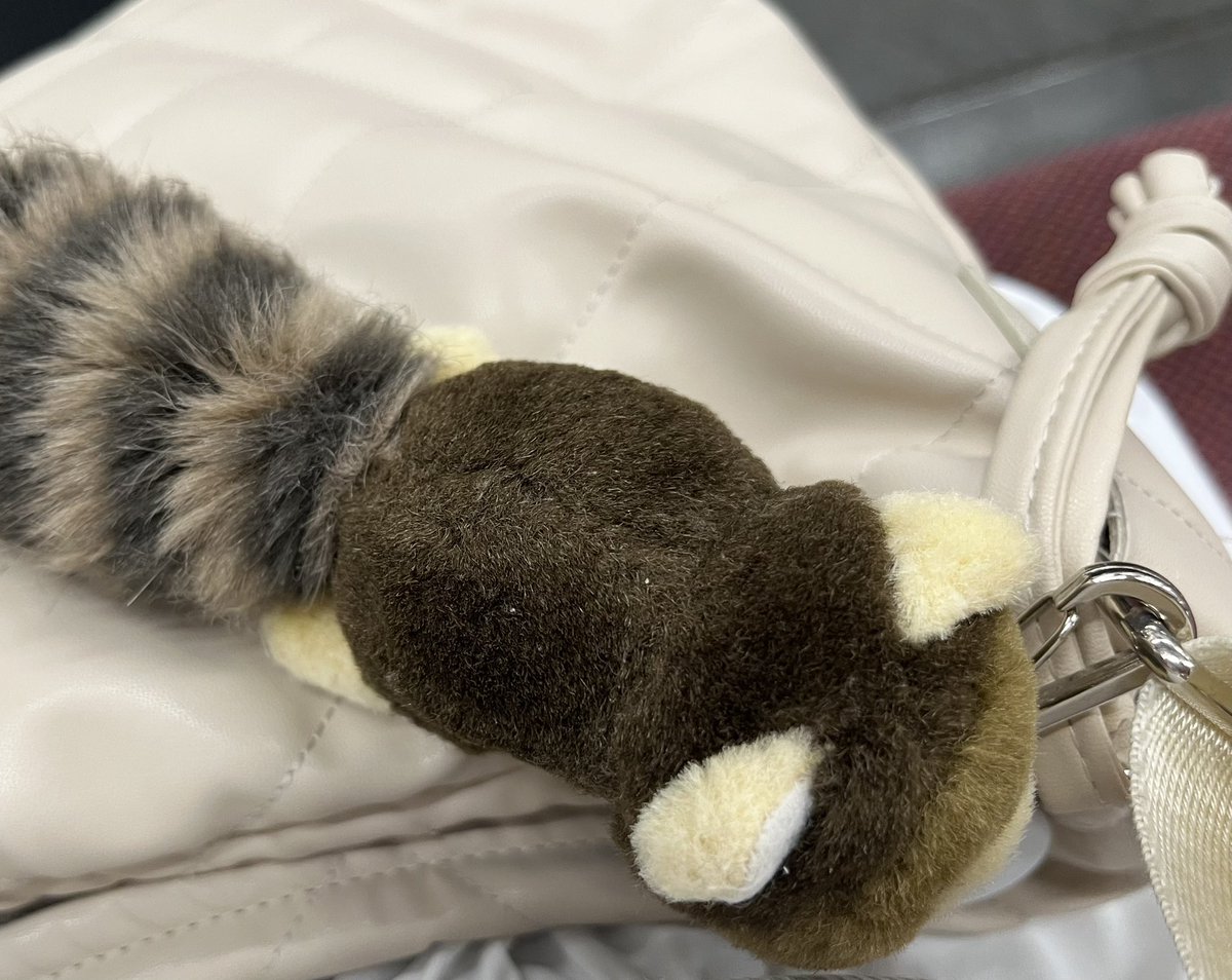 tanu202602's tweet photo. カバンの中が耐えきれず、
出てきちゃった人 https://t.co/FK35XB5lp8