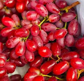 DerekDunwi2bp8's tweet photo. Freshly picked organic cherry tomatoes from local farms—burst with sweet juiciness, no aftertaste, perfect for salads or snacking! https://t.co/8wXe9flguh