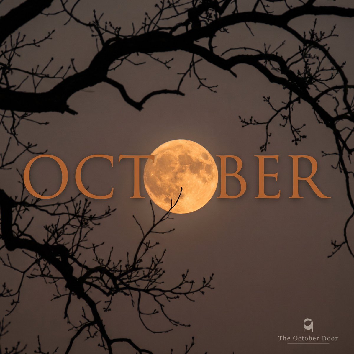 theoctoberdoor's tweet photo. The door's open. Welcome to October. 🌕 https://t.co/iYO2KLRQgM