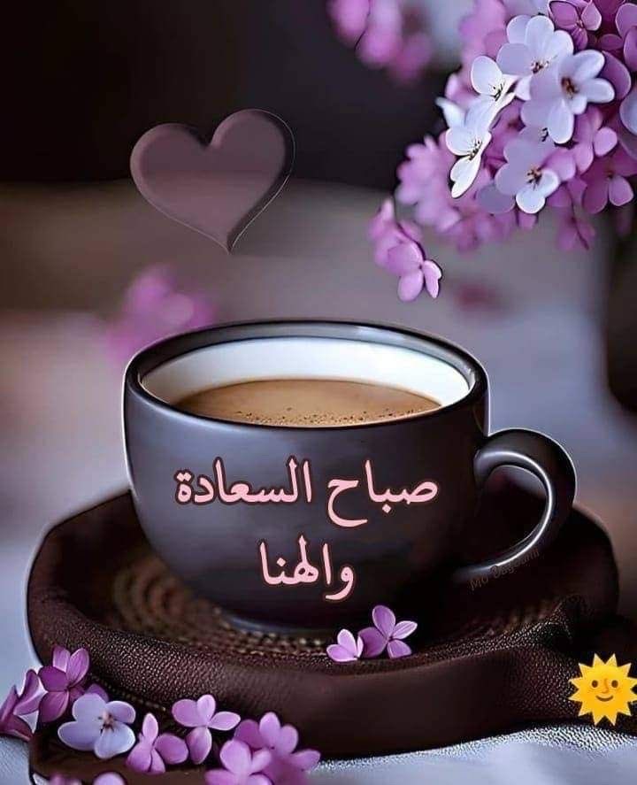 Jamila593087's tweet photo. @Mohmad19862025 اللهم امين 🤲🏻 https://t.co/r6R9rQCtuq