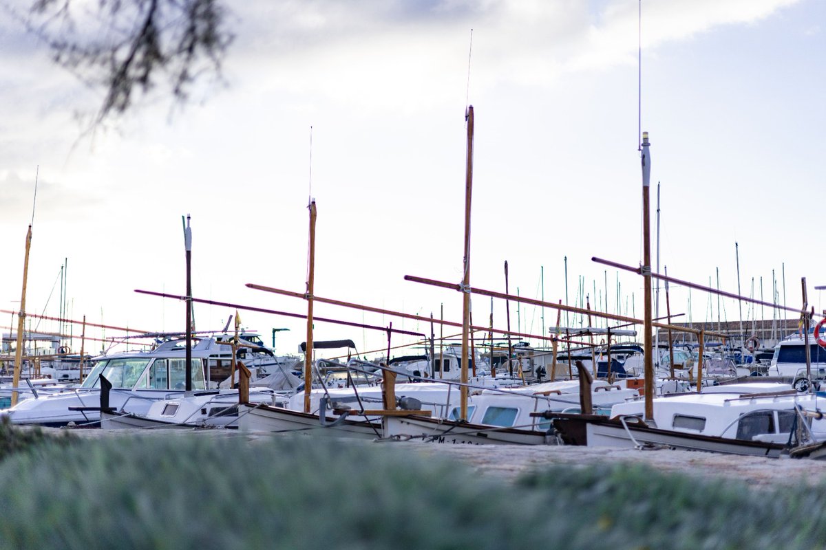 goib's tweet photo. ⚓️ Obert el termini per renovar les autoritzacions temporals d’amarrament als ports de la Colònia de Sant Jordi, es Barcarès, Pollença, s’Oberta i Valldemossa.

📅Fins al 31 de desembre, a través de la Seu Electrònica de #PortsIB.

🔗https://t.co/yokDPSFBxn https://t.co/4QYPn6eo8z