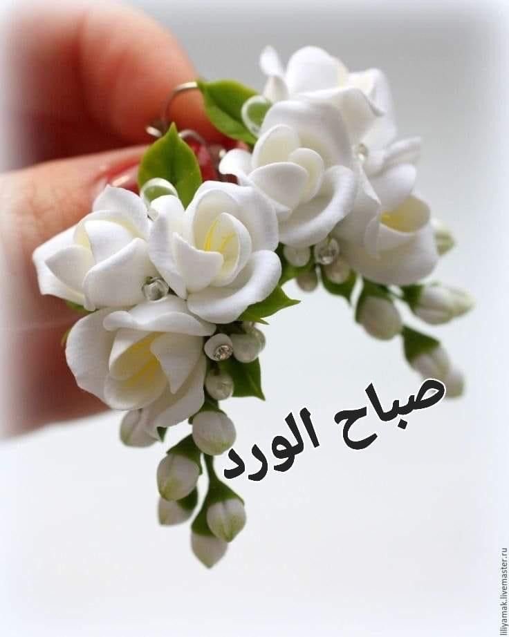 Jamila593087's tweet photo. @OldMan42042261 https://t.co/HplO3SPTCG