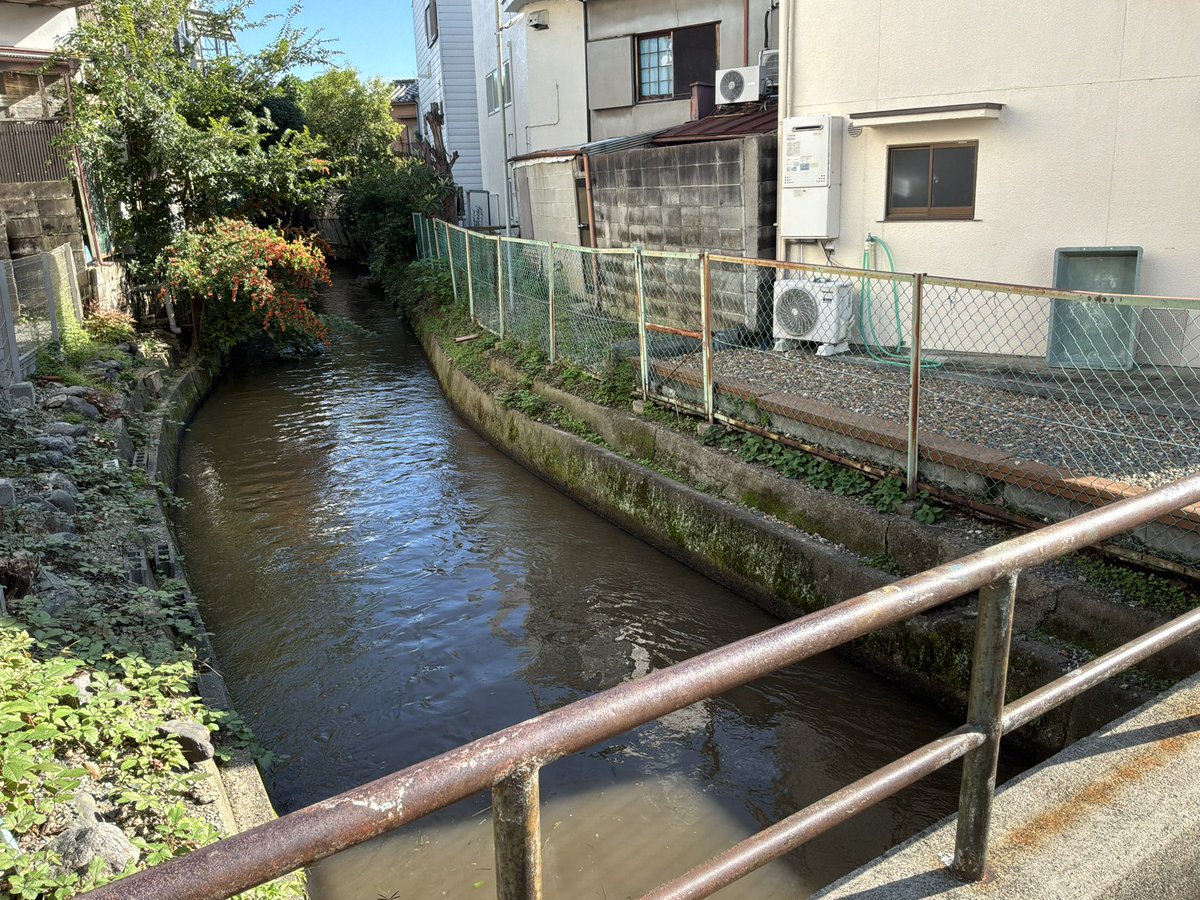8_tjh's tweet photo. 京都市文化市民局文化財保護課に申し込み、昨日の午後、蛇塚古墳の石室の中を見学してきた。何度も通っているが、内部の見学は初めて。蛇塚古墳の名称はかつて石室内に蛇が多く生息していたので、この呼び名がつけられたもので、石の間に蛇がいないか思わず覗き込んでしまった。大小３０数個の石を積み重ねて構築されていて、玄室の中は広くてびっくり。石室全長１７、８ｍ、玄室長６、８ｍ、玄室幅３、９ｍ、玄室床面積２５、８㎡。ともに見学した太秦在住の方は、巨石の石質はチャートと呼ばれるもので、太秦付近には存在しないが、保津峡では普通に見られ、保津峡から桂川、古墳のそばを流れる現在の西高瀬川を船で運んできたのではないかと。大正時代の地図のコピーを見せていただいたが、当時古墳はすぐそばを流れる西高瀬川に接していた。今は古墳まで家が立ち並んでいる。数トンはある巨石を乗せても沈まない船を漕ぐ人々の汗を想像した。

その後、蛇塚古墳とともに北陸新幹線桂川案概略ルート帯の中にある垂箕山古墳を回った。宮内庁が管理しているので中には入れないが、急峻な崖の上にあり、崖は土砂災害特別警戒区域となっている。

歴史が息づき、多くの住民が暮らす右京区の地下に北陸新幹線を通すなどありえない。