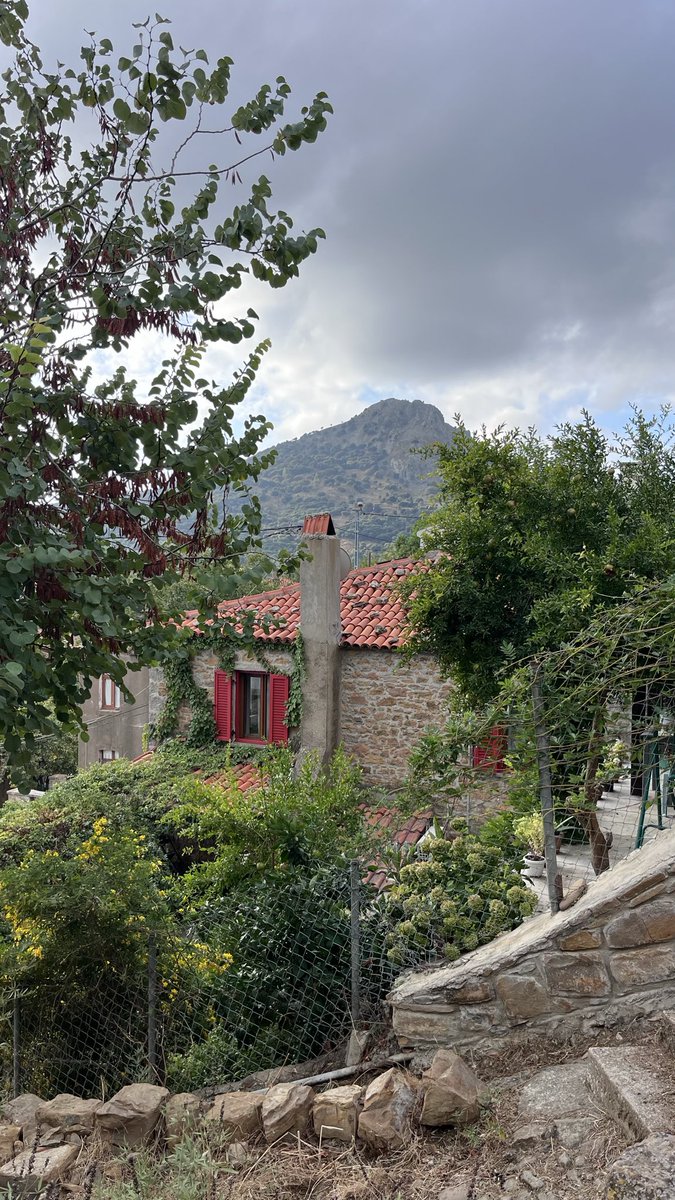 perseusha's tweet photo. Birkaç güne ne çok şey sığmış 🥹
Gün doğumu, gün batımı, taş evler, akvaryum gibi berrak sular.
Tek başıma çıktığım yolda yeni tanıdığım güzel insanlar… 🥹

Bolca yol, deniz, rüzgâr…
Koşturmaca, kaos, zaman sıkıntısı olmadan; zamanın durduğu nadir anlardan. 🤎
Canım Gökçeada… https://t.co/sgsDcRhgBm