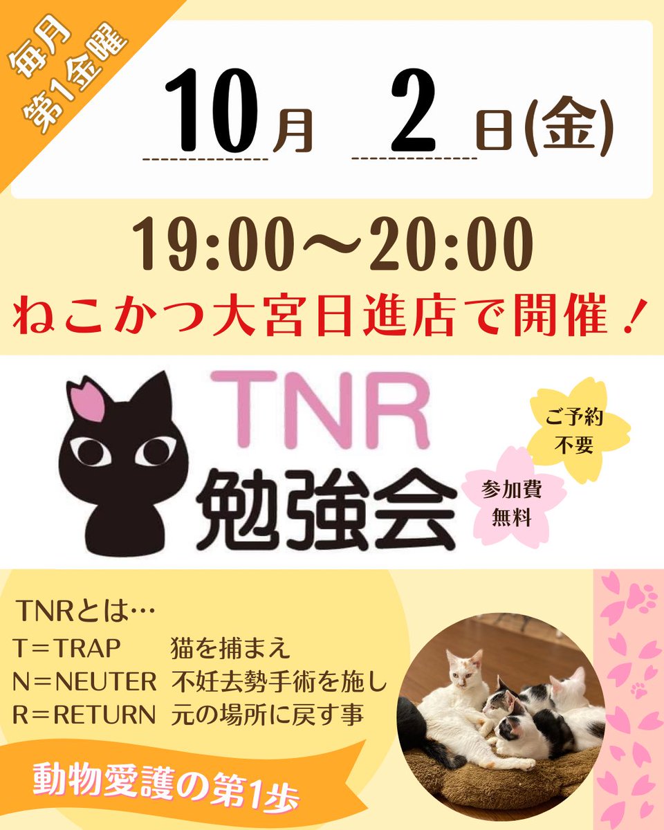 nekokatsu_1's tweet photo. .

🐾TNR勉強会のお知らせ🐾

ねこかつでは月に1度、野良猫の不妊去勢手術のやり方について勉強会を行っています🐱

「家の近くに野良猫がいて、、、」
「外で子猫が生まれてしまった、、、」
「保護猫活動に興味がある！」

初めての方でも大歓迎🤗
ちょっと気になる、、、という方でもぜひご参加下さい！
まずは知ることが動物愛護の第一歩となります☝️

TNRとは、

T＝TRAP　猫を捕まえる
N＝NEUTER　不妊去勢手術をする
R＝RETURN　元の場所に戻す

🐾 10月2日（金）
🕖 19:00～20:00
📍 ねこかつ大宮日進店
💰 参加費無料
🍁 予約不要
🧑‍🏫 講師 ねこかつ代表 梅田

猫たちと人が共に暮らせる地域を目指して、
ぜひお気軽にご参加ください🐱💕

#TNR #不妊去勢手術は動物愛護の第１歩 #ねこかつ #保護猫カフェ
