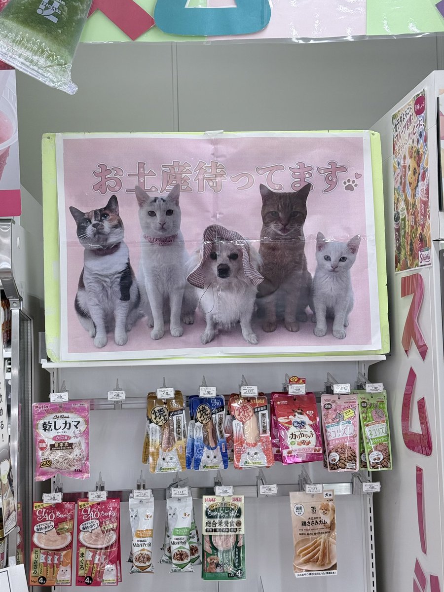 ddn_ko103's tweet photo. ペットの気持ち代弁してるコンビニあったよ🥺笑 https://t.co/wnz0UUqNkf