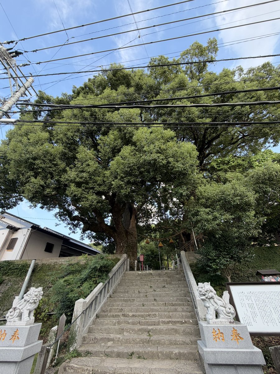 lineman418's tweet photo. 久しぶりの長崎。
必ず訪れる場所。 https://t.co/6SD2nMtYLL