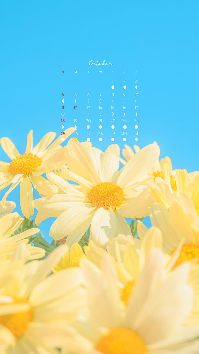 Noah_photobook's tweet photo. 10月のカレンダーを作りました💐
　
壁紙サイズにしてるのでぜひ保存して使ってみてください🌼 https://t.co/QjYr4yuXUv