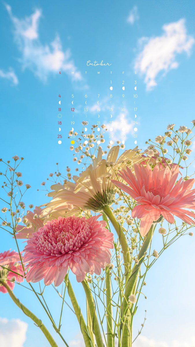 Noah_photobook's tweet photo. 10月のカレンダーを作りました💐
　
壁紙サイズにしてるのでぜひ保存して使ってみてください🌼 https://t.co/QjYr4yuXUv