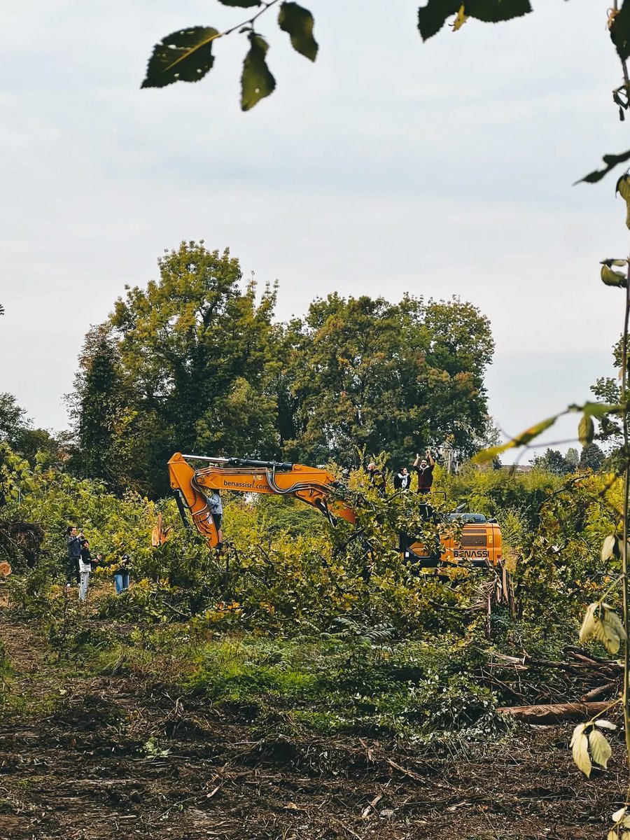Chiappuz's tweet photo. Bosco Ospizio di Reggio Emilia, le ruspe abbattono gli alberi prima della decisione del Consiglio di Stato sullo stop ai lavori. Attivisti stanno ora fermando le ruspe, chi può vada ad aiutare https://t.co/bAhhQr0cxP