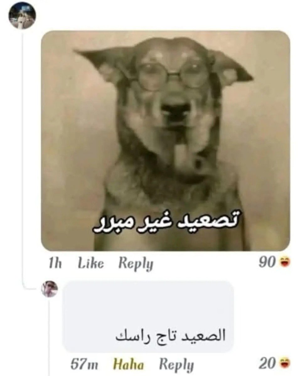theonlyosman's tweet photo. كده بقى معانا رباعية 
بصي يا ليزبيان 
الصعيد تاج راسك 
مش وش سمنة بلدي
جوجل بيكسل https://t.co/Sl55n8SLJB