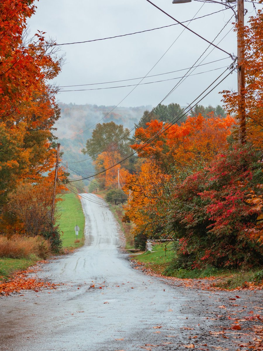 ____flowers__'s tweet photo. Autumn in Massachusetts 🍂🍁 https://t.co/6aSYArEFa2