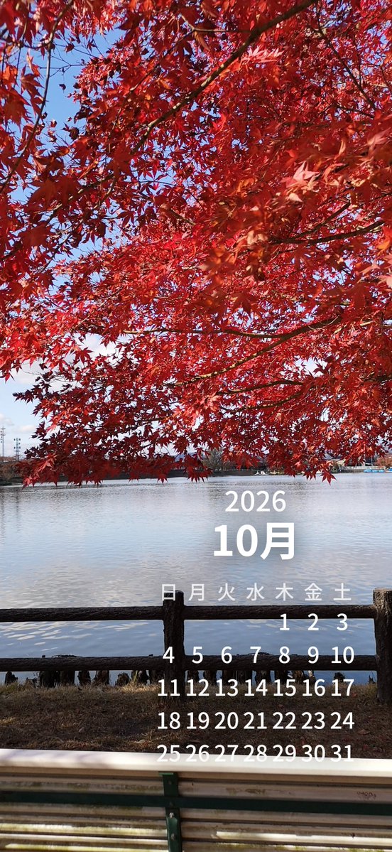 lrzv4z's tweet photo. 皆様こんばんは
数か月前から月初めになると、自分の手持ち画像を使ってスマホ向けのカレンダーを作るのが週間となっています
こんなのでよければ待ち受け画面に使ってオッケーです
・・岩手県盛岡市高松の池で撮影
使っている２種の実況ハッシュタグつけておきます🙂
#こころ旅 
#musicaction https://t.co/RnlFnZRNd3