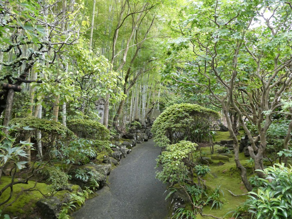 HIROKITI224's tweet photo. 鎌倉報国寺　
綺麗な庭と竹林 https://t.co/rflCxOrr1Y