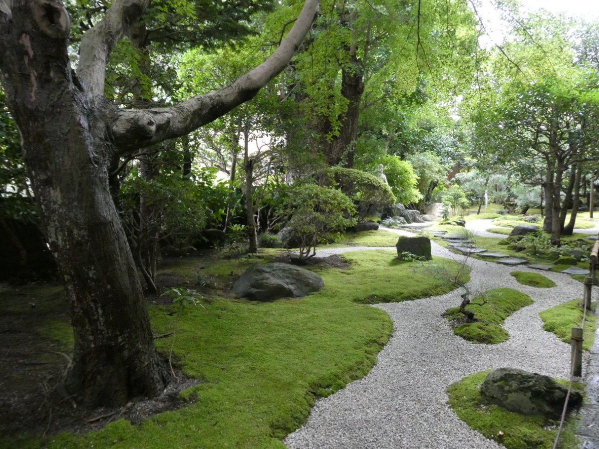 HIROKITI224's tweet photo. 鎌倉報国寺　
綺麗な庭と竹林 https://t.co/rflCxOrr1Y
