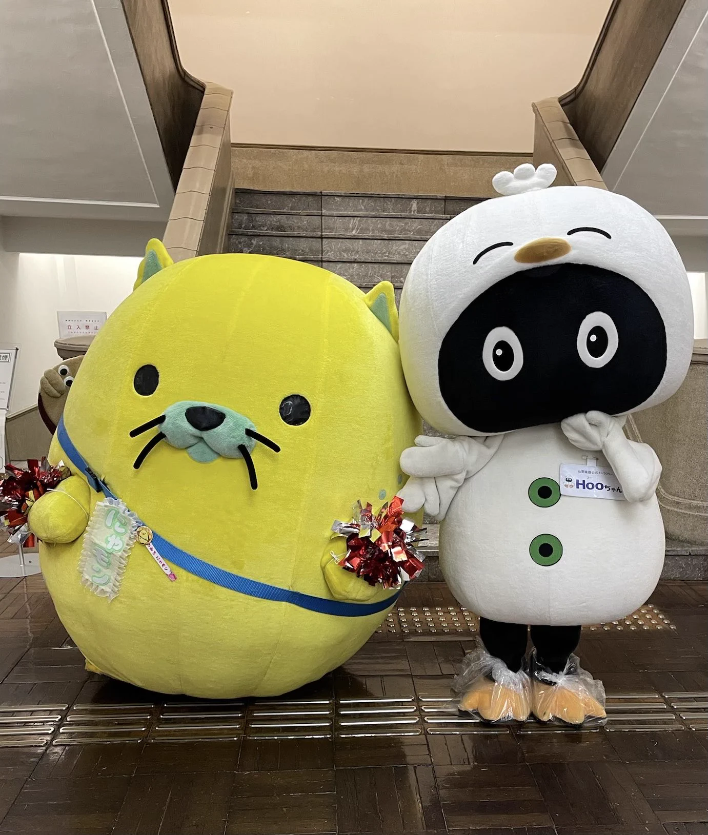 *ニャンごろう* オーダーページ Hooちゃん🐤🎶【山野楽器公式キャラクター】 в X: „／ #Hooちゃん の